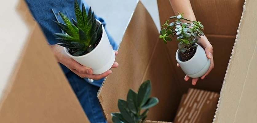 حمل اثاثیه منزل در اصفهان